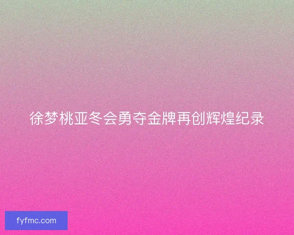 徐梦桃亚冬会勇夺金牌再创辉煌纪录