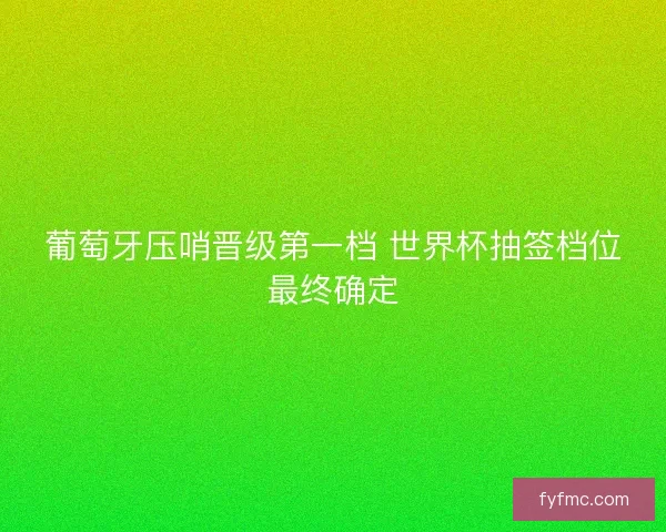 葡萄牙压哨晋级第一档 世界杯抽签档位最终确定