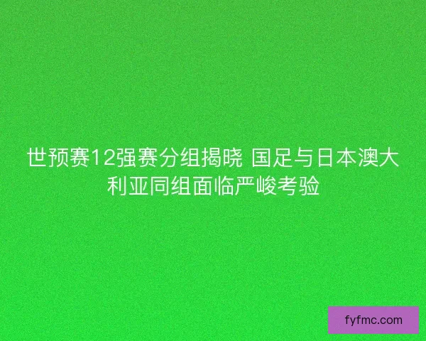 世预赛12强赛分组揭晓 国足与日本澳大利亚同组面临严峻考验