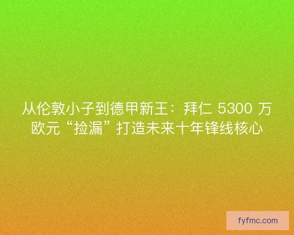 从伦敦小子到德甲新王：拜仁 5300 万欧元 “捡漏” 打造未来十年锋线核心